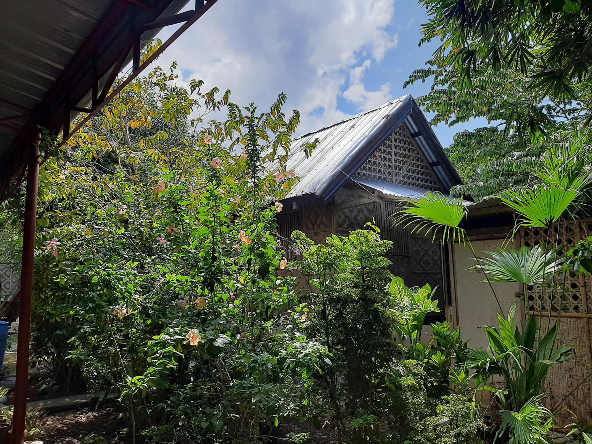 Alimpay Foresters Apartment Panglao-stad Buitenkant foto