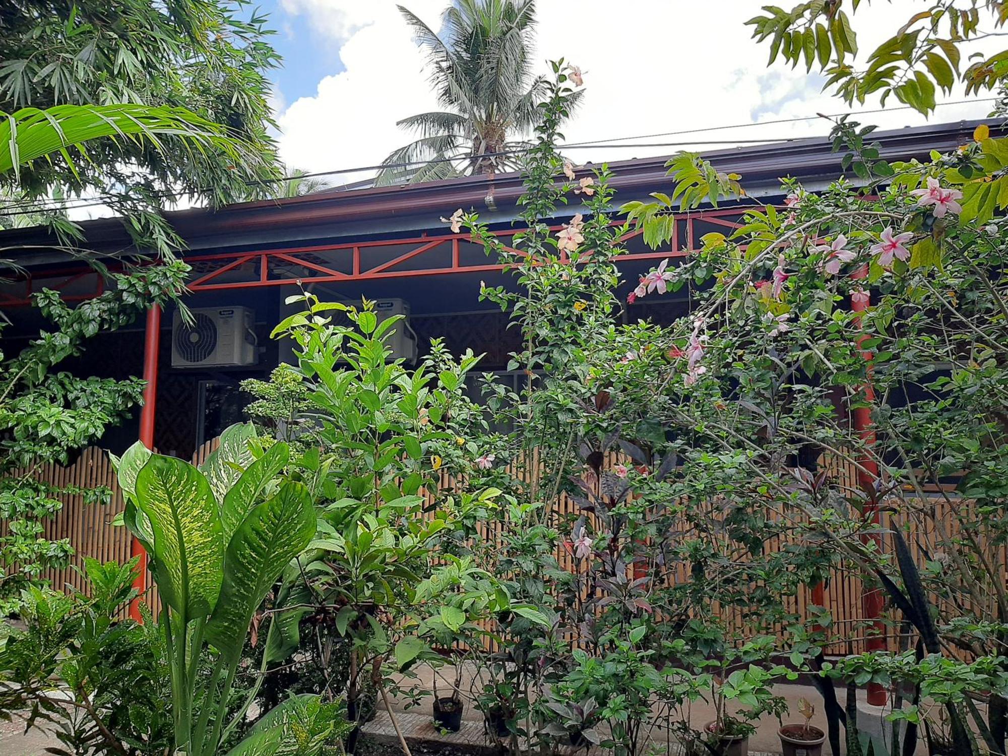 Alimpay Foresters Apartment Panglao-stad Buitenkant foto
